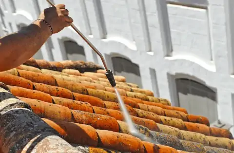 Démoussage de toiture à Montaigut sur Save